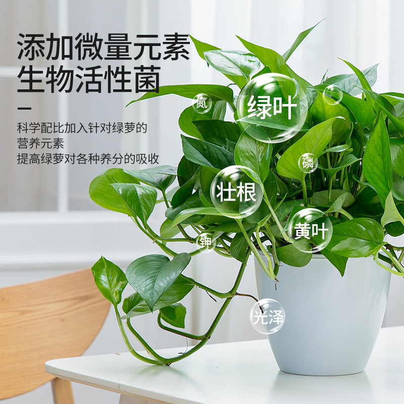 速发绿萝专用营养液花肥料植物盆栽家用绿箩吊兰水土培养花通用肥