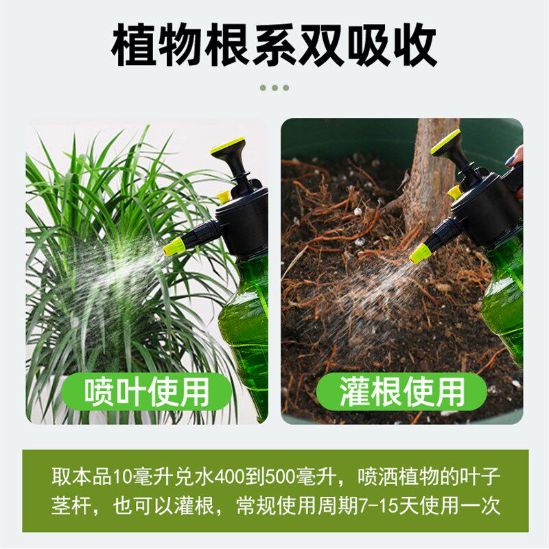 速发龙血树专用肥料龙血树营养液盆栽龙须树铁树复合肥通用黄叶土