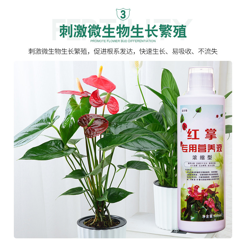 速发红掌粉掌白掌火鹤马蹄莲花卉植物营养液盆栽水培土培肥有机肥