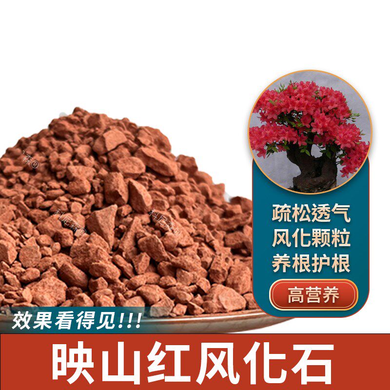 速发映山红土土种生桩盆栽土酸性土景化土赤玉土盆风土种植土