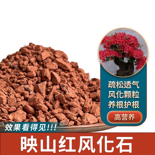 速发映山红土土种生桩盆栽土酸性土景化土赤玉土盆风土种植土