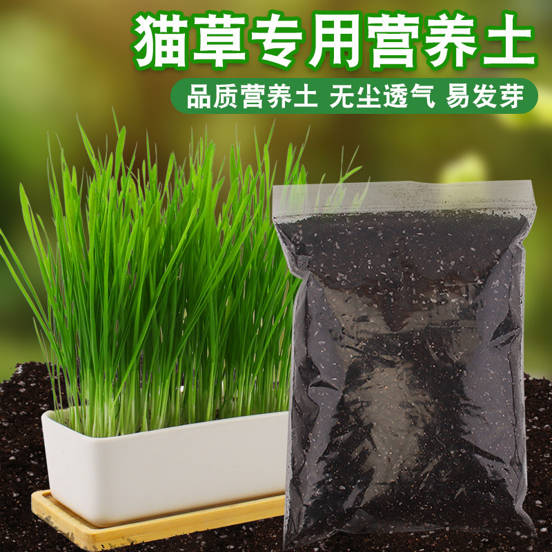 速发营养土种植猫咪用品薄毛荷猫草套装水培猫化草去除毛球猫零食