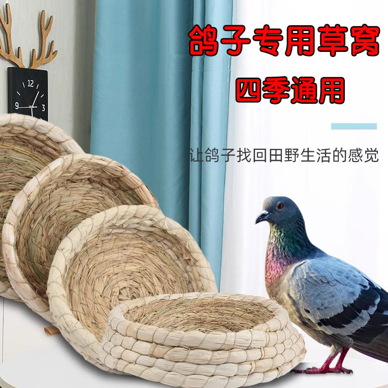 速发鸽子草窝孵品用蛋四编鸟窝保暖草季大全鸟窝巢下蛋窝家用信鸽