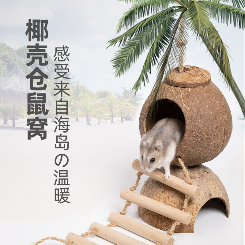 速发仓鼠椰子壳窝松鼠鼯枝爬袋花金丝熊躲避屋夏天降温用品蜜梯玩