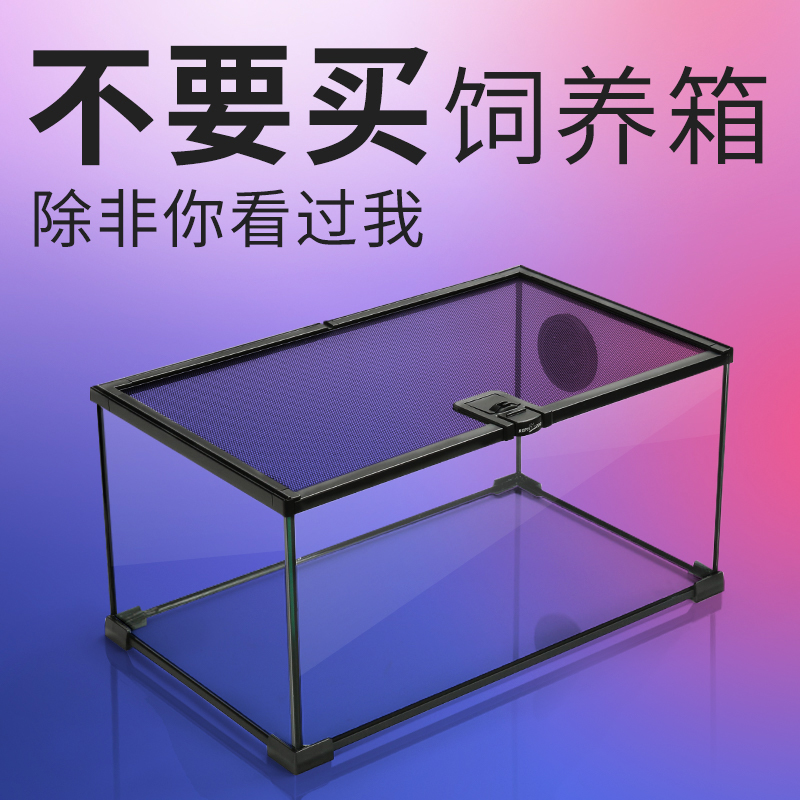速发蜥货秒发Rep养i玻璃缸爬宠饲t箱陆龟现蜴蛇守宫角蛙爬宠饲