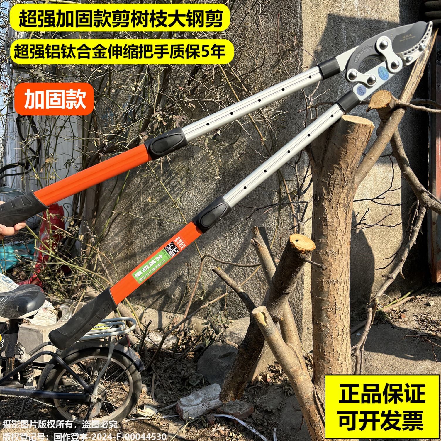 园艺粗枝修剪剪刀伸缩加固款 竹子专用剪枝钳与锯工具
