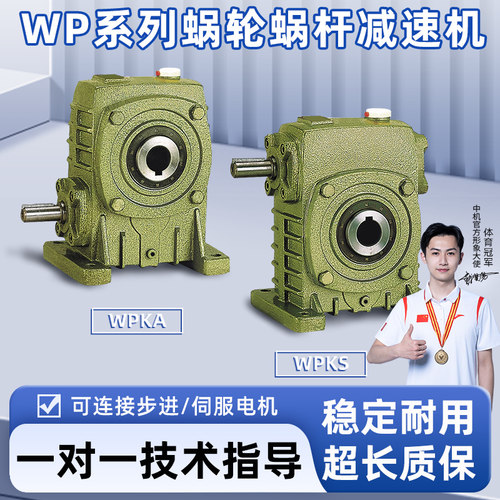 WP系蜗轮蜗杆减速机【品质保障】