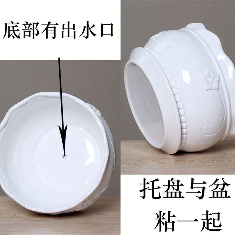 白色花盆陶瓷 特大号个性圆形时尚花器 简约创意多肉绿植种树花盆