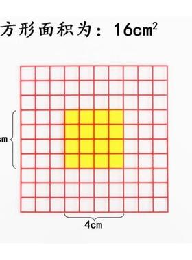 面积测量器1cm透明小方格纸每格1厘米小学数学估测面积教具教具