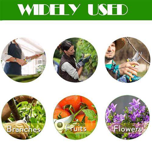 Pruner Garden Scissors Professional Sharp Bypass Pruning She