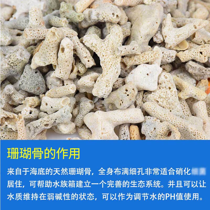 极速厂家珊瑚骨鱼缸滤材过滤材料珊瑚石养鱼底砂水族箱造