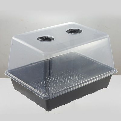 育苗盘带加高盖国产S5多肉育苗盆闷养植物叶插播种保温保湿育苗箱