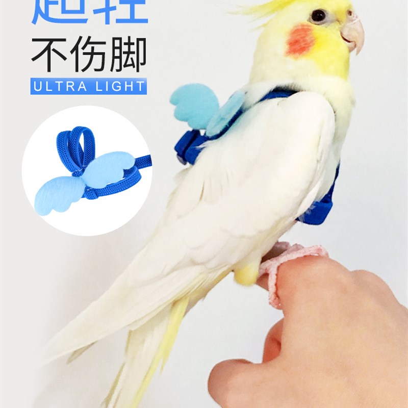 不伤超轻牡丹F牵引训抱婴袋八哥神器鹦鹉放飞溜鸟绳玄凤虎皮外出