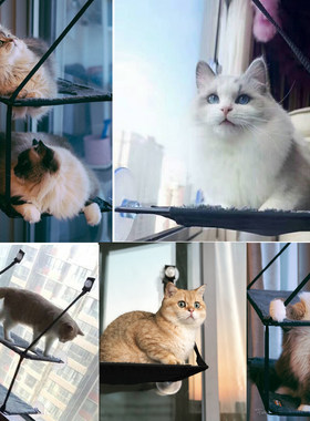 好货美国K&H猫吊床窗台窝宠物用品猫咪猫吊床玻璃吸盘晒太阳透气