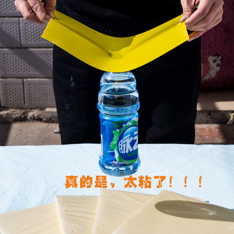 极速粘飞虫纸蓝板沾虫板黄板双面粘虫板诱虫板果园果蝇贴黏虫板针