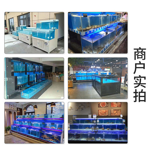 移动海鲜缸商用饭店专用海鲜鱼缸贝类池定制海鲜池制冷机一体鱼池