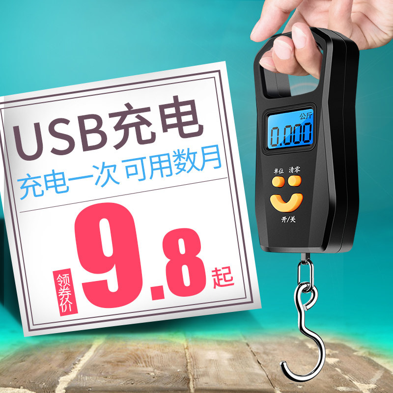 好货迷你家用手提称电子秤弹簧秤商用小型便携式高精度50kg快递称