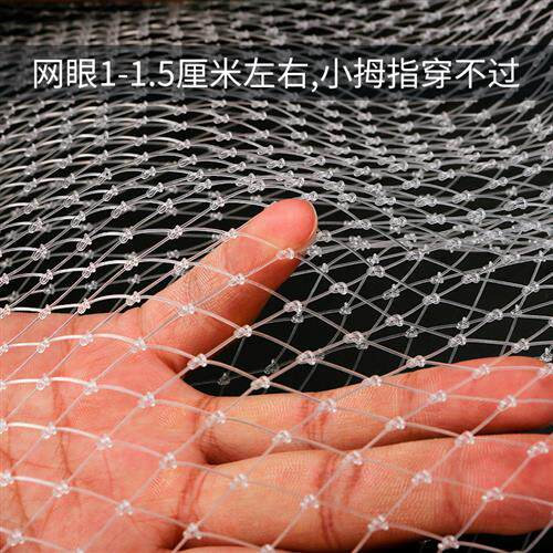 极速厂家葡萄防雹网果园水果大棚防护天网防鸟用网尼龙网米网眼绳