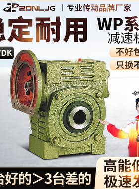 WPWDK70 80 100蜗轮蜗杆减速机铁壳立式带法兰减速齿轮箱变速器