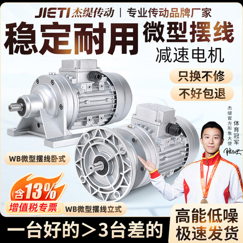 WB微型摆线针轮减速机WB100/65小型立式卧式减速电机变速箱齿轮箱