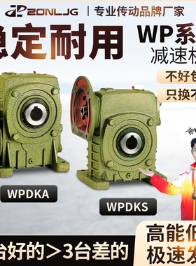 WPDKA/WPDKS60 70 80 100 120 135蜗轮蜗杆减速机变速齿轮箱波箱