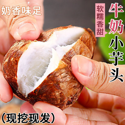 山东牛奶小芋头新鲜芋艿芋头芋圆农家自种现挖红芽毛芋当季软糯