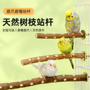 速发鹦件栖杆杜鹃木原木站棍鸟笼配鹉站木树杈虎皮玄凤鸟用品