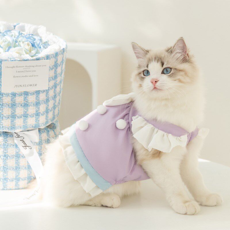 速发可爱子猫咪公主连衣裙英衣服防掉毛布偶蓝猫小短幼猫夏天