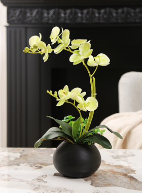 彷蝴蝶兰花花卉套装饰品新中国风客厅餐桌古架假花桌面小盆栽植物