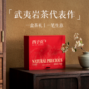 正宗武夷山岩茶大红袍茶叶乌龙高端礼盒装伴手礼品鉴送礼长辈商务
