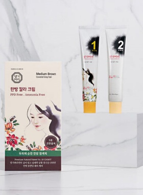 韩国康绮墨丽韩方发色调理剂 天然草本植物护发二合一人参3种蛋白