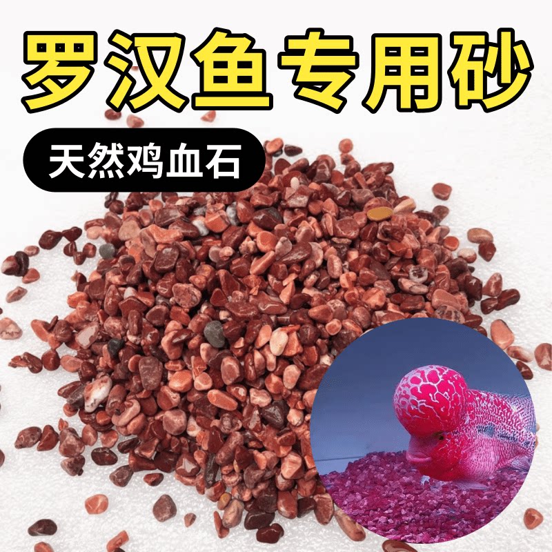 天然红碧玉碎石大颗粒鸡血石原石摆件鱼缸花盆造景观赏石教学矿石