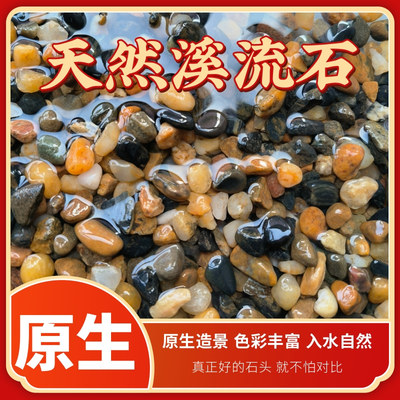 溪流石鱼缸造景底砂免洗天然溪流沙南美水草缸龟缸原生雷龙鱼底沙