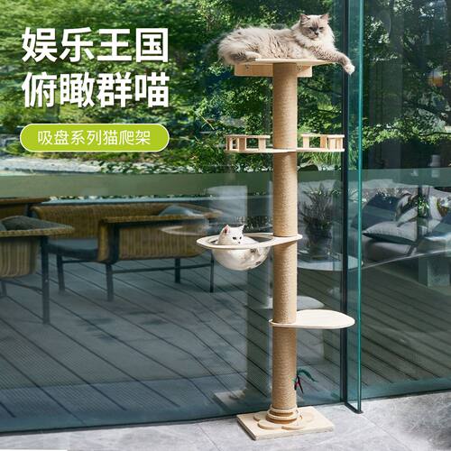 通天柱猫爬架顶天立地不占地猫抓柱猫窝猫树一体太空舱跳台猫玩具