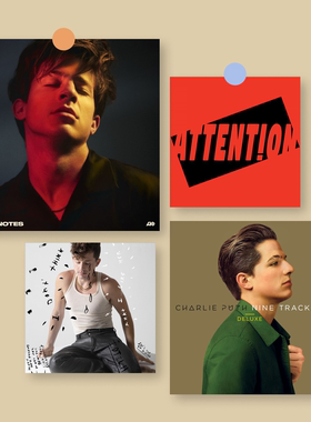 断眉Charlie Puth音乐专辑封面海报欧美周边宿舍酒吧背景墙贴画