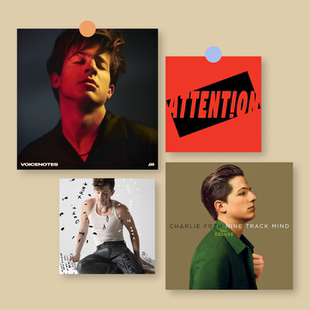 断眉Charlie Puth音乐专辑封面海报欧美周边宿舍酒吧背景墙贴画