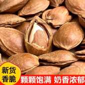 新货开口杏核大颗粒新鲜带壳杏仁休闲手剥坚果炒货零食小吃年货干