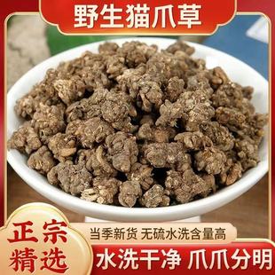猫爪草中药材正品 功效与作用 官方旗舰店猫爪草散节茶野生猫爪草