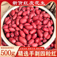 新货东北红衣生花生米四粒红新鲜红皮小粒不带壳生的黑龙江特产