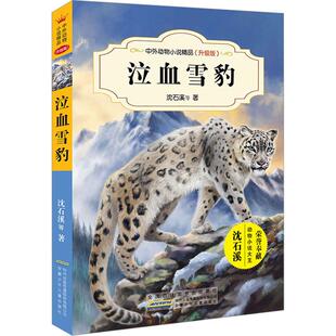 泣血雪豹沈石溪动物小说全集之一少儿儿童文学5678910岁幼儿学龄前儿童亲子共同阅读小学一二三四五六年级初中自主阅读正版 畅销图