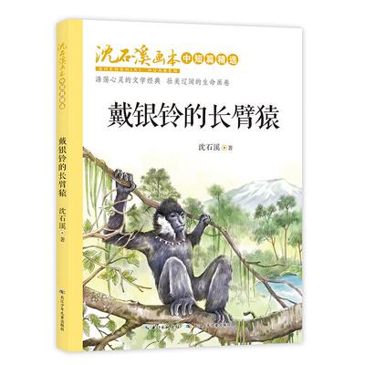 戴银铃的长臂猿/沈石溪画本.中短篇精选