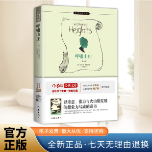 梅子涵作序推一部震撼人心 奇特 小说和神秘莫测 呼啸山庄 作家出版 余秋雨寄语 怪书 社 中小学生无障碍阅读