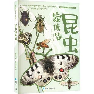 高原精灵科普丛书 昆虫家族篇 汉藏对照