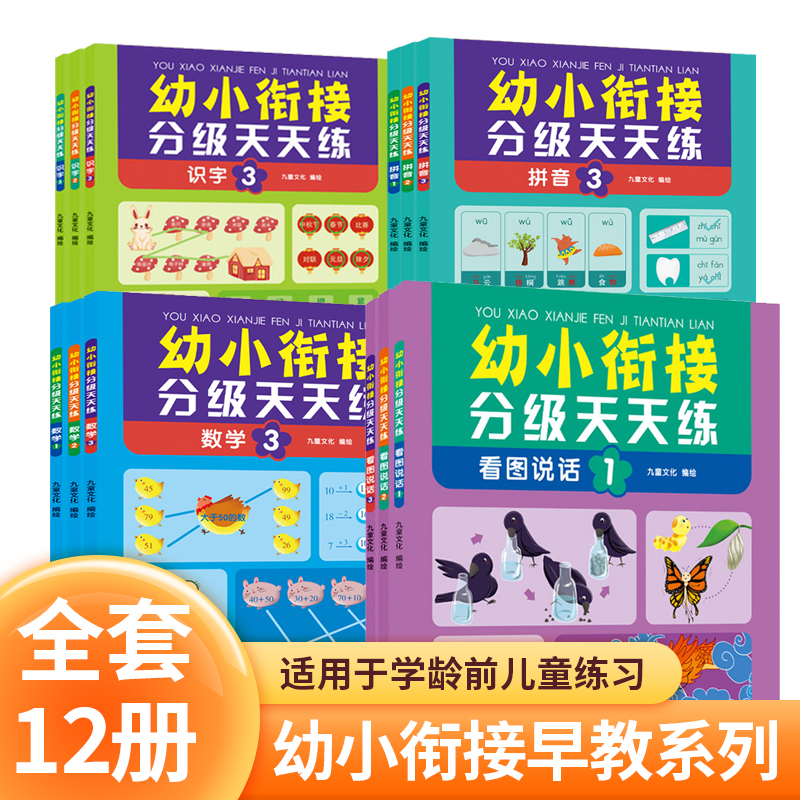 幼小衔接分级天天练数学识字拼音看图说话全套12册幼升小适用于学龄前儿童提升儿童综合能力 3-6岁幼小儿童 早教启蒙书jt