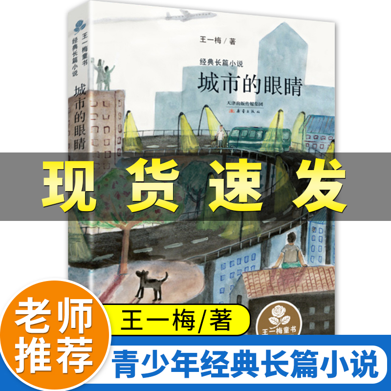 老师力荐！正版王一梅城市的眼睛