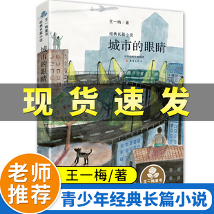 眼睛 城市 经典 长篇小说青少年幼儿童文学故事书籍小学生课外阅读书必读老师推荐 12岁初中生读物 dr王一梅 四五六年级阅读9 书