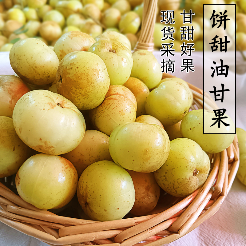潮汕油甘饼甜油甘果新鲜水果