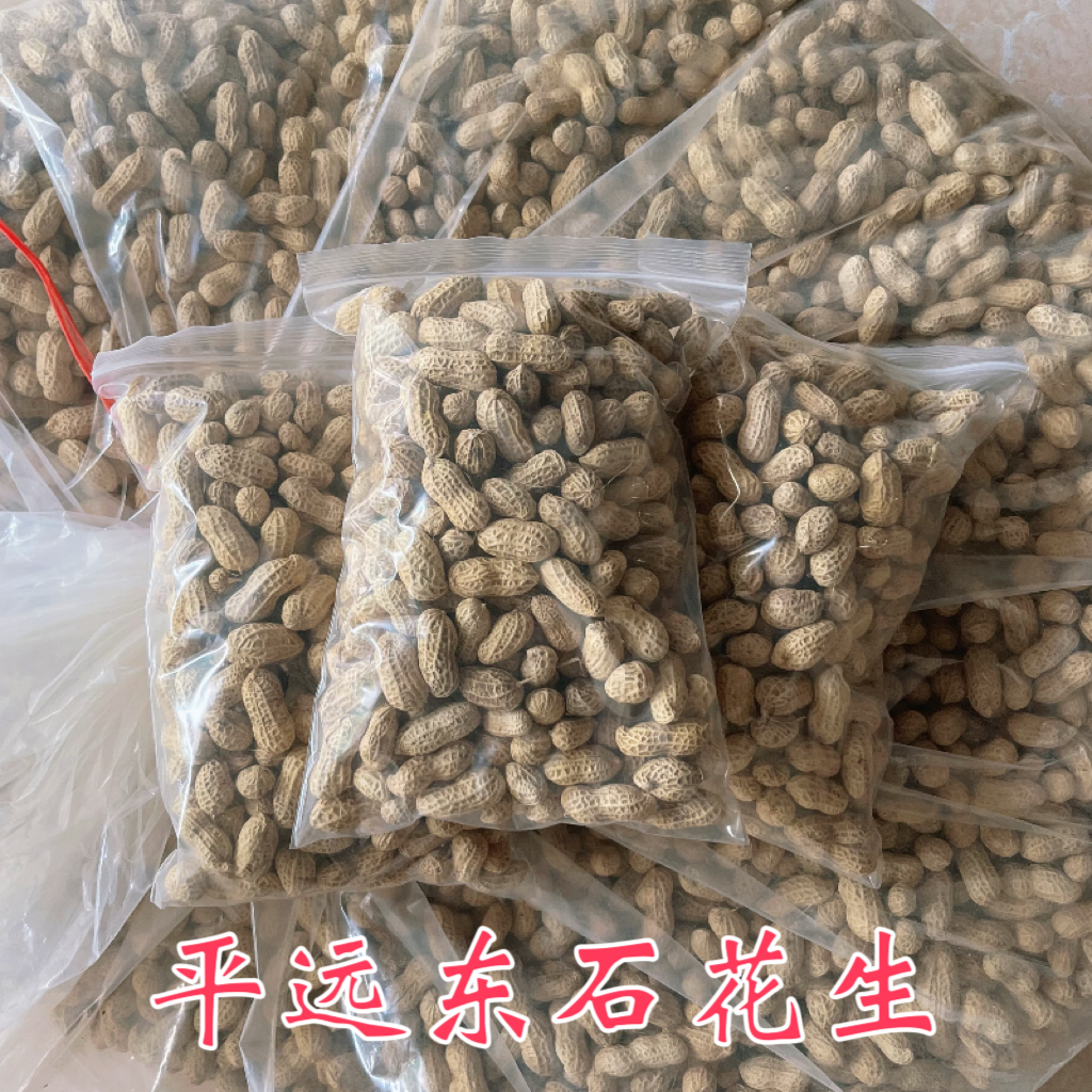 东石花生梅州平远花生水煮花生纯日晒花生客家特产农家花生原味