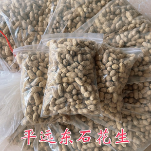 东石花生梅州平远花生水煮花生纯日晒花生客家特产农家花生原味