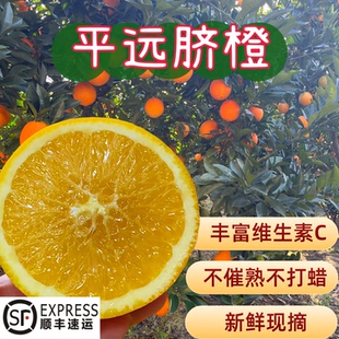 正宗梅州平远脐橙新鲜现摘当季水果鲜甜橙孕妇水果包邮